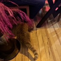   at NAKKA in Istanbul