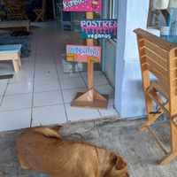  at Azul in Puerto Vallarta