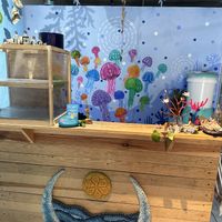   at Azul in Puerto Vallarta