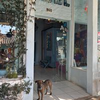   at Azul in Puerto Vallarta