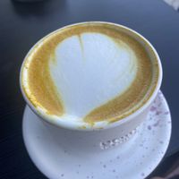   at PlantEat /it/ in Constanta