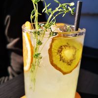  at PlantEat /it/ in Constanta