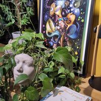  at PlantEat /it/ in Constanta