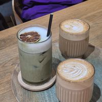  at PlantEat /it/ in Constanta