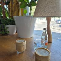  at PlantEat /it/ in Constanta