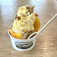Mango sticky rice sundae from winter menu   at Sugarpine Drive-In in Troutdale