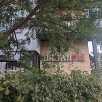 It's not really in a forest at Urban Pie in Cedar Falls