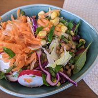 Mixed salad with herbs dressing at Green Taste in Innsbruck
