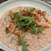 Truffle artichoke risotto vegan  at Cote in Esher