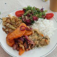 Main dish (white beans, rice, salad) was very very tasty  at Amora Silvestre in Castelo Branco