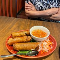 Spring Rolls at Blossom Vegetarian in Renton