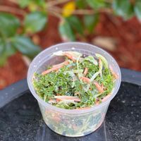 Side kale salad: $6 at Redefined Food Co in Palm Coast