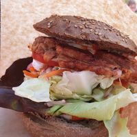 Frühlings Burger at Kleiner Veganer in Herzogenaurach