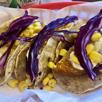 Chicken Tacoc (£12)  at Tam's Kitchen in Paignton