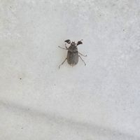  at Tam's Kitchen in Paignton