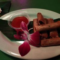 Vegan lumpia at Swizzle in Dallas