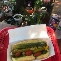 vegan chicago dog at Dog Day Afternoon in Brooklyn
