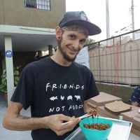 Kimchi artesanal, receta exclusiva de La Verde Morada. at La Verde Morada in Monterrey