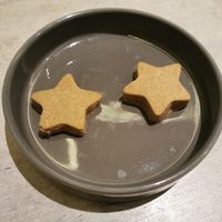  at Sauce Tree Kuta in Kuta