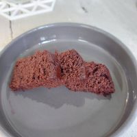 Free cake! at Sauce Tree Kuta in Kuta