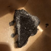 Coffee cream pie  at Sauce Tree Kuta in Kuta