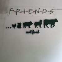  at Sauce Tree Kuta in Kuta