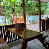  at Sauce Tree Kuta in Kuta