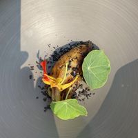 Cabbage stuffed with celeriac cream and black truffle at Vetri Restaurant in Venice