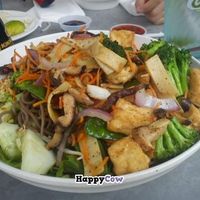 Teddys not gay at Jenni's Noodle House - S Shepherd in Houston