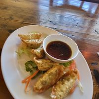 Vegan potstickers at Pho Sure in San Antonio