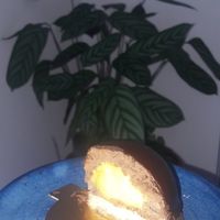  at L'Empire des Sans in Montpellier