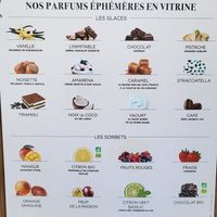 8 vegan sorbet flavours. at Amorino in Carcassonne