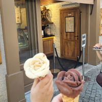 The chocolate sorbet was as creamy as a gelato! at Amorino in Carcassonne