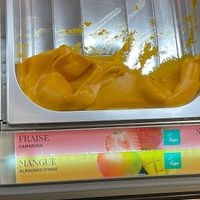 vegan ice cream with a logo  at Amorino in Carcassonne