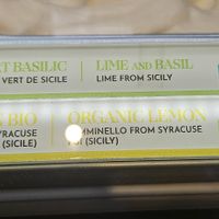 Vegan flavours at Amorino in Carcassonne