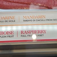 Vegan flavours at Amorino in Carcassonne