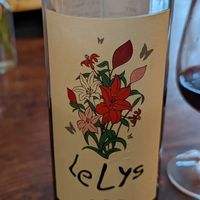 Great organic wine. at Milin Ruz in Plelauff