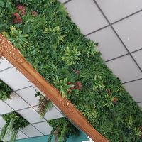 Decoracion💛💚 at Distrito Vegano Invernadero in Madrid