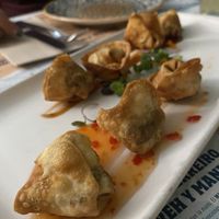 Neo Gyozas  at Distrito Vegano Invernadero in Madrid