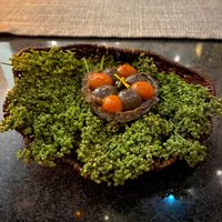 From the garden  at HA' in Playa Del Carmen