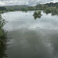 View   at Tebay Services Southbound in Orton