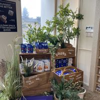   at Nuldam Space - 널담은공간 경복궁점 in Seoul