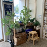  at Nuldam Space - 널담은공간 경복궁점 in Seoul