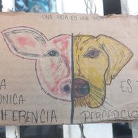  at V De Vegano  in Mexico City