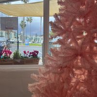 view  at The Espresso Lab Cafe in San Diego