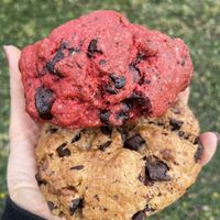   at Puravita Vegan  in Estepona