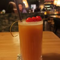 Ready Teddy at Daintree in Kempten