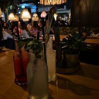  at Daintree in Kempten