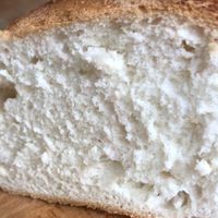 Gluten-free vegan white loaf at Craft Coffee & Pastry in Amsterdam