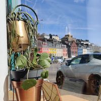 View from window at Seasalt Cafe and Deli in Cobh